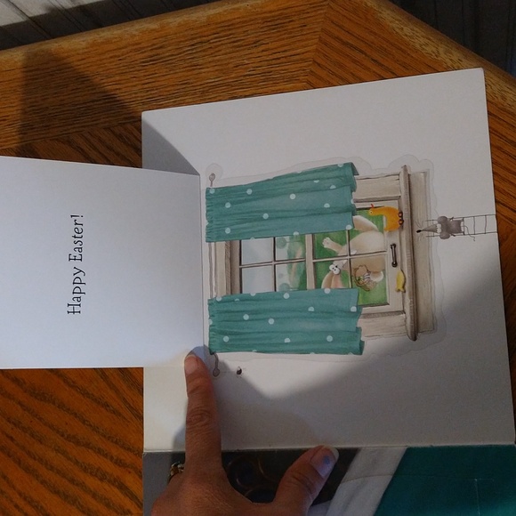 ✨5/$15✨ Children's Book - Splat the Cat Where's the Easter Bunny? Flap Book - Picture 11 of 15